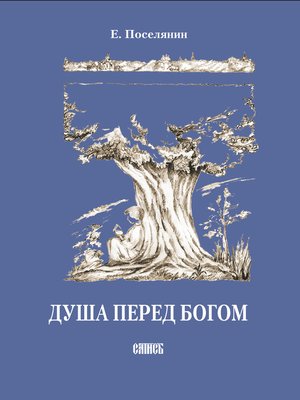 cover image of Душа перед Богом